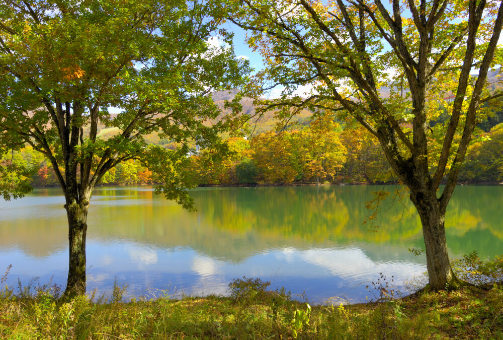 가모노야치누마